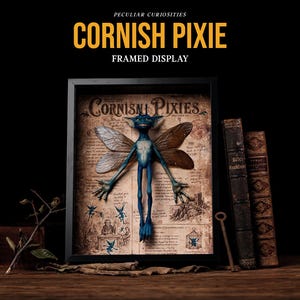 Cornish Pixie Framed Display
