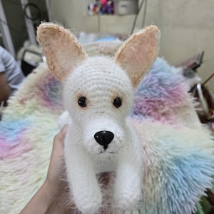 Custom Stuffed Dog, Custom Dog Plush, Custom Crochet Dog, Custom Pet Plush, Custom Stuffed Animal, Personalized Pet Gift