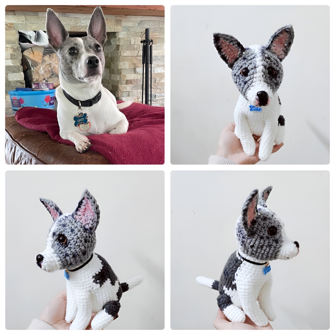 Custom Stuffed Dog, Custom Dog Plush, Custom Crochet Dog, Custom Pet Plush, Custom Stuffed