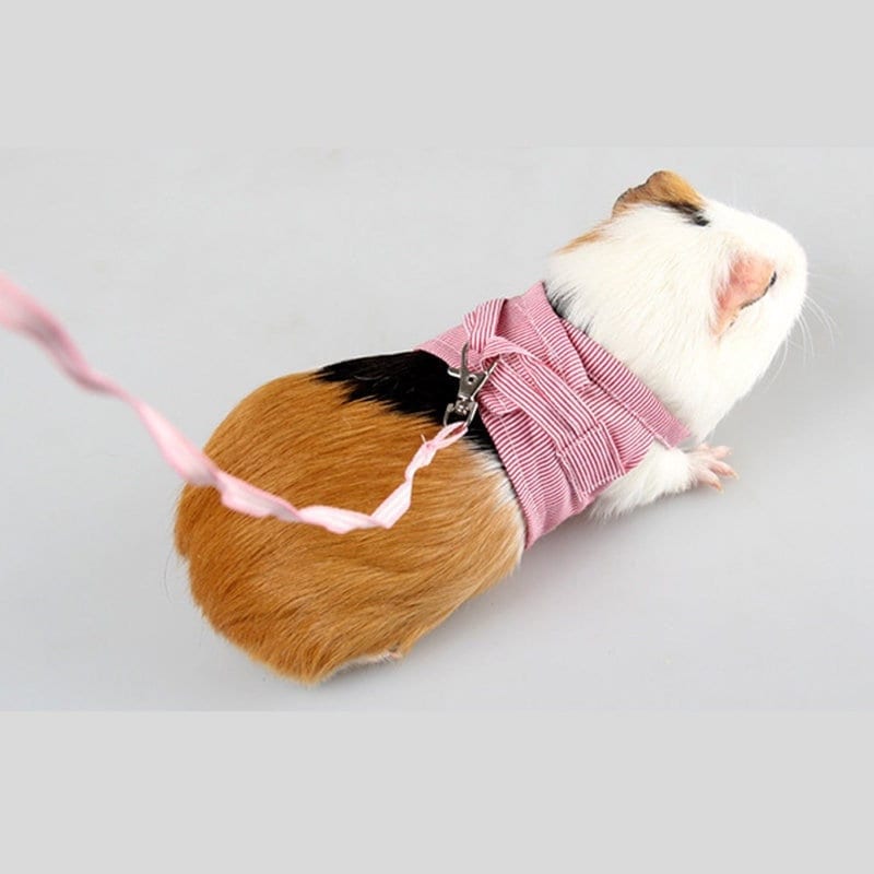 Harness Hamster - Etsy UK