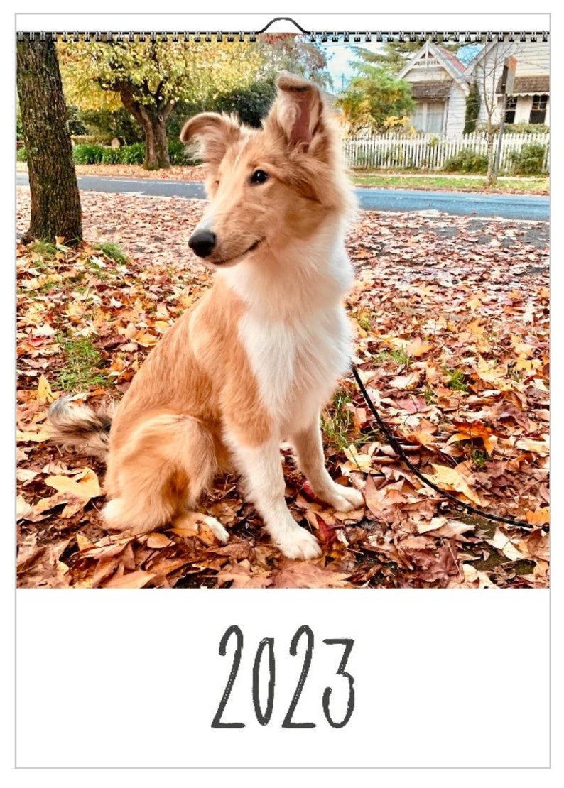 2023 Calendar Cute Dog Calendar 2023l Lessie Dog L Wall Calendar 2023 Etsy Australia