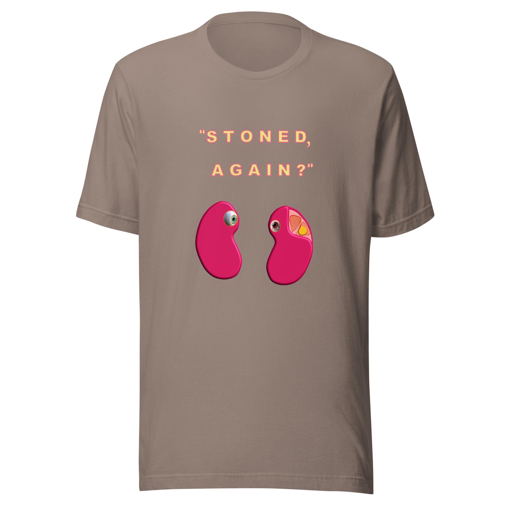 Kidney Stone Survivor Shirt | Stoned Again Funny Medical Gift