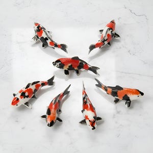 Puede incluir: Siete figuras de peces koi de cerámica en varias poses. Los peces presentan una base blanca con marcas rojas, negras y naranjas. Las figuras están dispuestas sobre una superficie blanca, mostrando su diseño detallado y colores vibrantes.