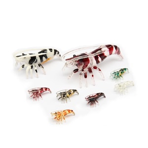 Crystal Shrimp Figurine – Realistic Resin Miniature – Handcrafted Mini Collectible – Colorful Aquarium, Home & Office Decor