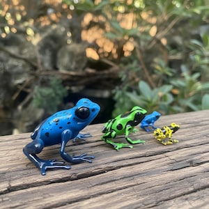 以下が含まれることがあります： 青、緑、青、黄色の4匹のカラフルなカエルの置物。黒い斑点があり、風化した木製の表面に配置されています。カエルは詳細な特徴を持ち、さまざまな鮮やかな色と模様を示しています。