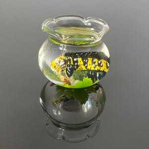 Mini Fish Tank in Glass Bowl with Channa Barca 01 (Only One Available) – Handmade Aquarium Decor – Realistic Sculpture – Home & Office Gift