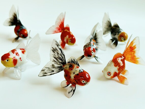 medium goldfish