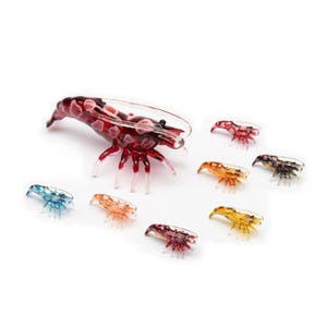 Squat Shrimp Figurine – Realistic Resin Miniature – Handcrafted Mini Collectible – Colorful Aquarium, Home & Office Decor