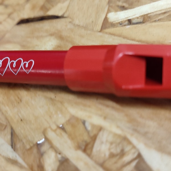 Personalised Tin or Penny Whistle in D, with custom laser engraved name.