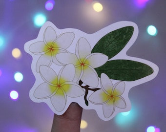 Plumeria Hawaiin Flower Tropical Beach Aesthetic Waterproof Vinyl Sticker For Water Bottles Laptops Skateboards Surfboards