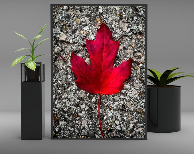 This item is unavailable Etsy