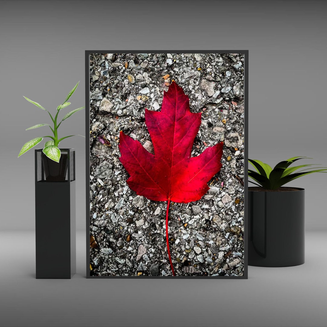 Red Leaf Wall Art/ Nature Printable/ Photography/autumn Wall Etsy