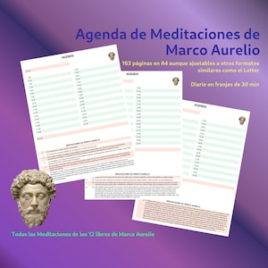 Marcus Aurelius Meditations Daily Planner, Personalized Daily Planner, A4 Daily Organizer, Gift for Him, Stoic Planner