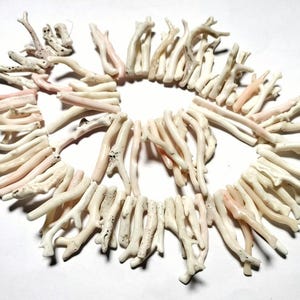 May include: A circular arrangement of natural coral pieces, showcasing a variety of shapes and sizes. The coral is predominantly off-white with soft pink tones, giving a delicate, natural appearance. The image is set against a white backdrop.