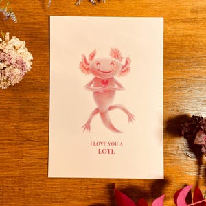 Postcard - Axolotl red