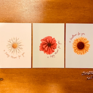 Postcard Set - Flowers