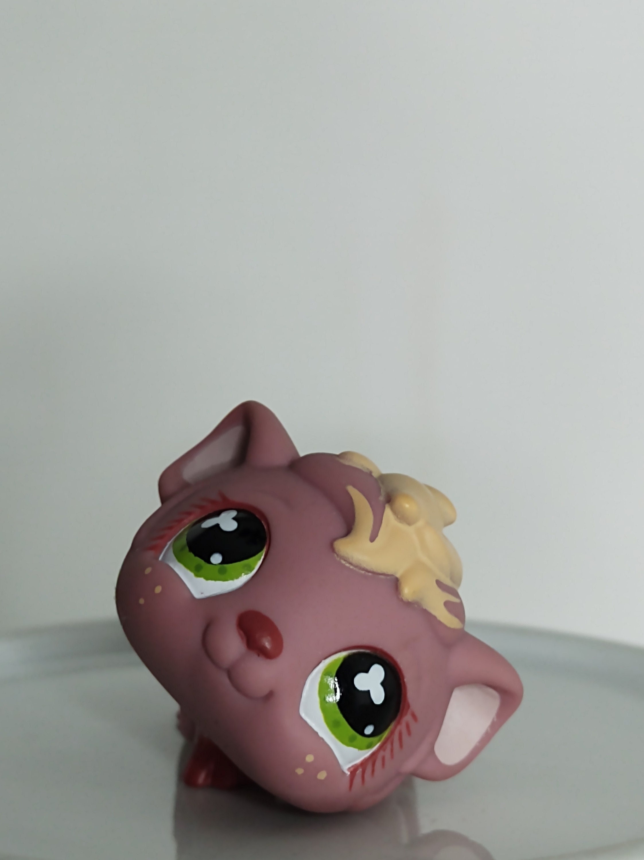 Littlest pet top shop guinea pig