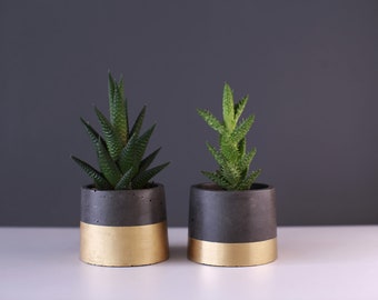 Concrete Flower Pot with Gold Accent SET OF 2 Minimal Nordic Industrial Planters for Succulents Herbs Cacti Interior Garden