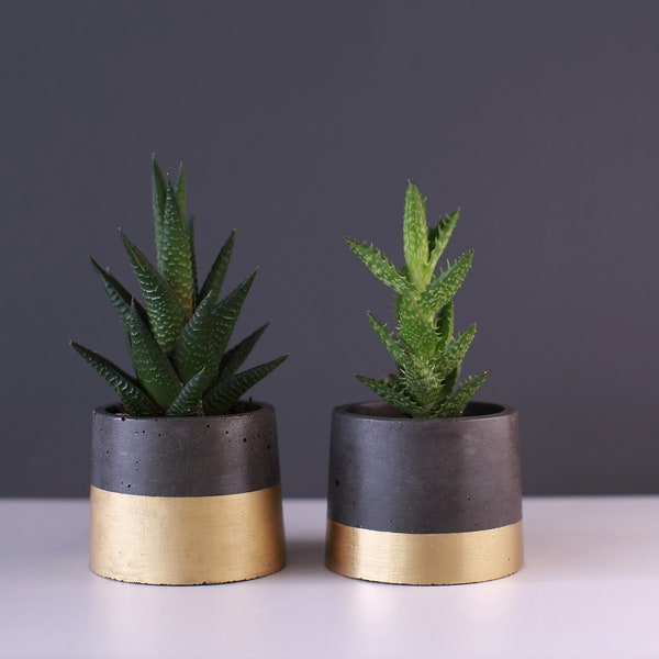 Concrete Flower Pot with Gold Accent SET OF 2 Minimal Nordic Industrial Planters for Succulents Herbs Cacti Interior Garden