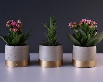 Beton Blumentopf mit Gold Akzent SET VON 3 Minimal Nordic Industrial Pflanzer für Sukkulenten Kräuter Kakteen Innenraum Garten