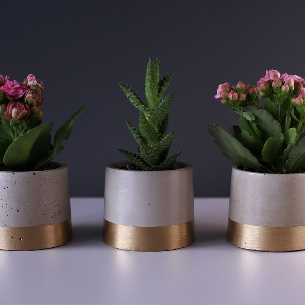 Beton Blumentopf mit Gold Akzent SET VON 3 Minimal Nordic Industrial Pflanzer für Sukkulenten Kräuter Kakteen Innenraum Garten