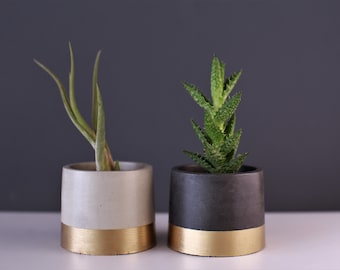 Beton Blumentopf mit Gold Akzent SET VON 3 Minimal Nordic Industrial Pflanzer für Sukkulenten Kräuter Garten Pflanze Liebhaber Geschenk