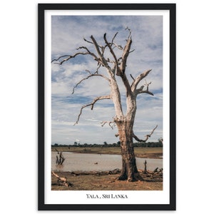 Yala, Sri Lanka - Poster with wooden frame