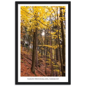 Saxon Switzerland, Germany - Poster with wooden frame