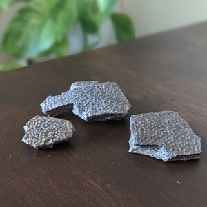 May include: Three gray, textured, irregularly shaped pieces of rock on a dark brown wooden surface.