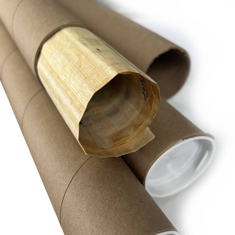 May include: A rolled-up piece of papyrus is stored in a brown cardboard tube. The tube is wrapped in another brown cardboard tube. The tubes are used for storing and shipping artwork or documents.