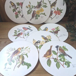 Rare Vintage Lady Clare Garden Birds Round Placemats