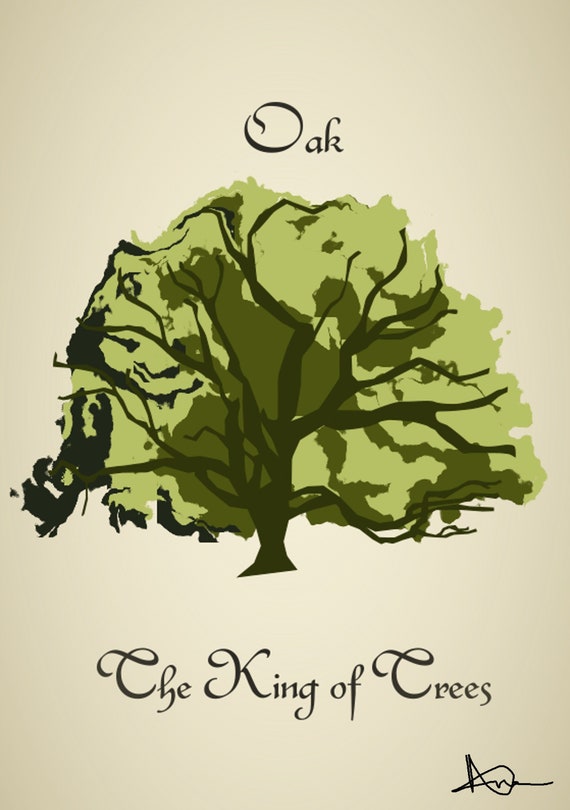 Deck of Nature Oak the King of Trees Etsy