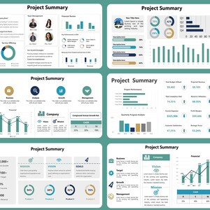 May include: A teal and white project summary infographic with charts, graphs, and data visualisations. The infographic includes sections on team management, financial review, and project performance, with key metrics and progress indicators.