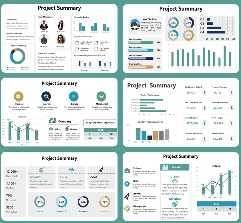 May include: A teal and white project summary infographic with charts, graphs, and data visualisations. The infographic includes sections on team management, financial review, and project performance, with key metrics and progress indicators.