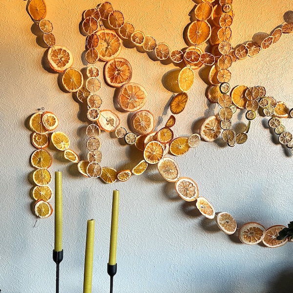 Dried Citrus Garland // Orange // Lime // Lemon // Grapefruit // Fruit // Citrus String // Dry Fruit