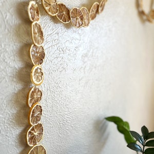 Detail shot of a string of dried lemon garland, hanging artfully on a wall