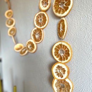 Detail shot of a string of dried grapefruit garland, hanging artfully on a wall