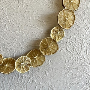 Detail shot of a string of dried lime garland, hanging artfully on a wall