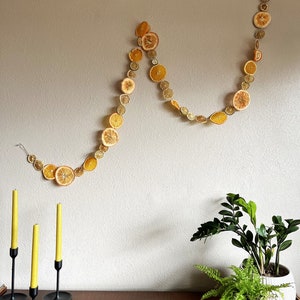 Detail shot of a string of dried mixed citrus garland, hanging artfully on a wall