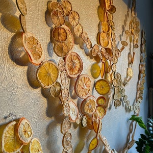 Detail shot of multiple strings of dried citrus garlands, hanging artfully on a wall