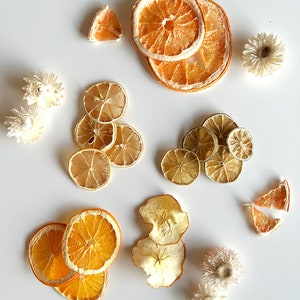 Detail shot of garland ingredients like orange, grapefruit, lemon, lime, and apple, artfully arranged with dried strawflower, all laying on a white surface