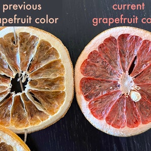 two slices of dried grapefruit next to each other. The one on left is light peach with text above stating that it is the previous color of grapefruit. The one on right is coral pink with text above stating that it is the current color of grapefruit.