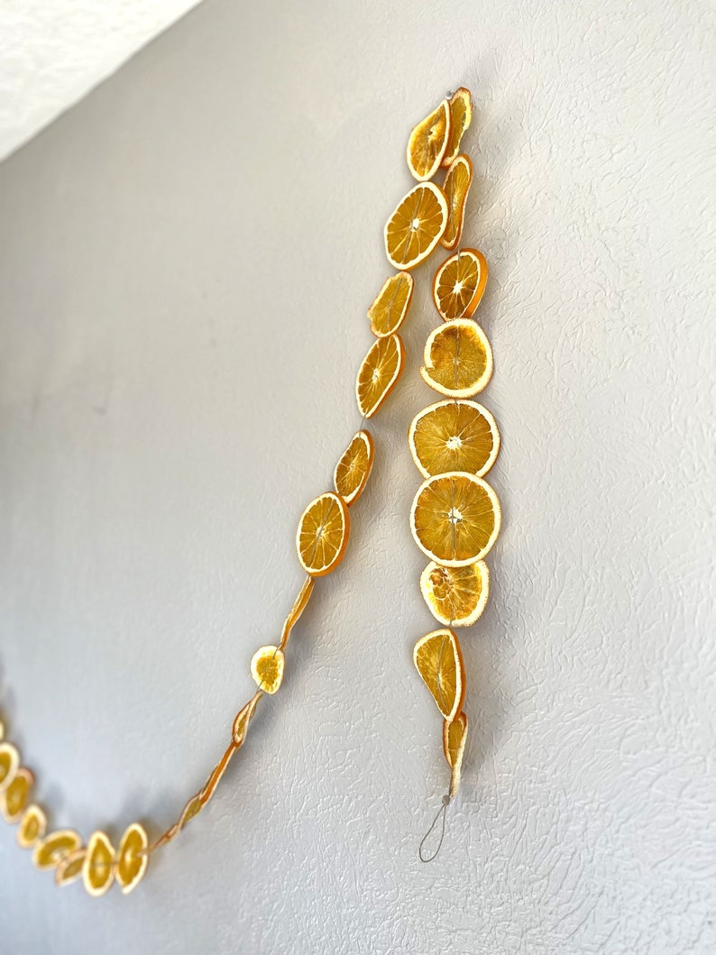 Detail shot of a string of dried orange garland, hanging artfully on a wall