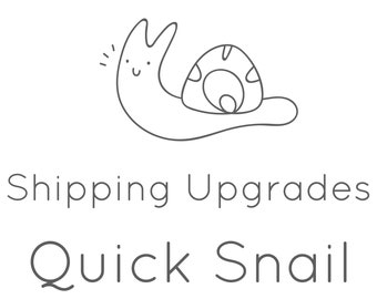 Shipping Upgrade / Make up difference