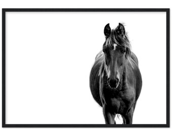 Impresión fotográfica de caballos, arte mural equino enmarcado, arte ecuestre, impresión de caballos, decoración moderna, arte mural moderno de caballos, arte mural minimalista