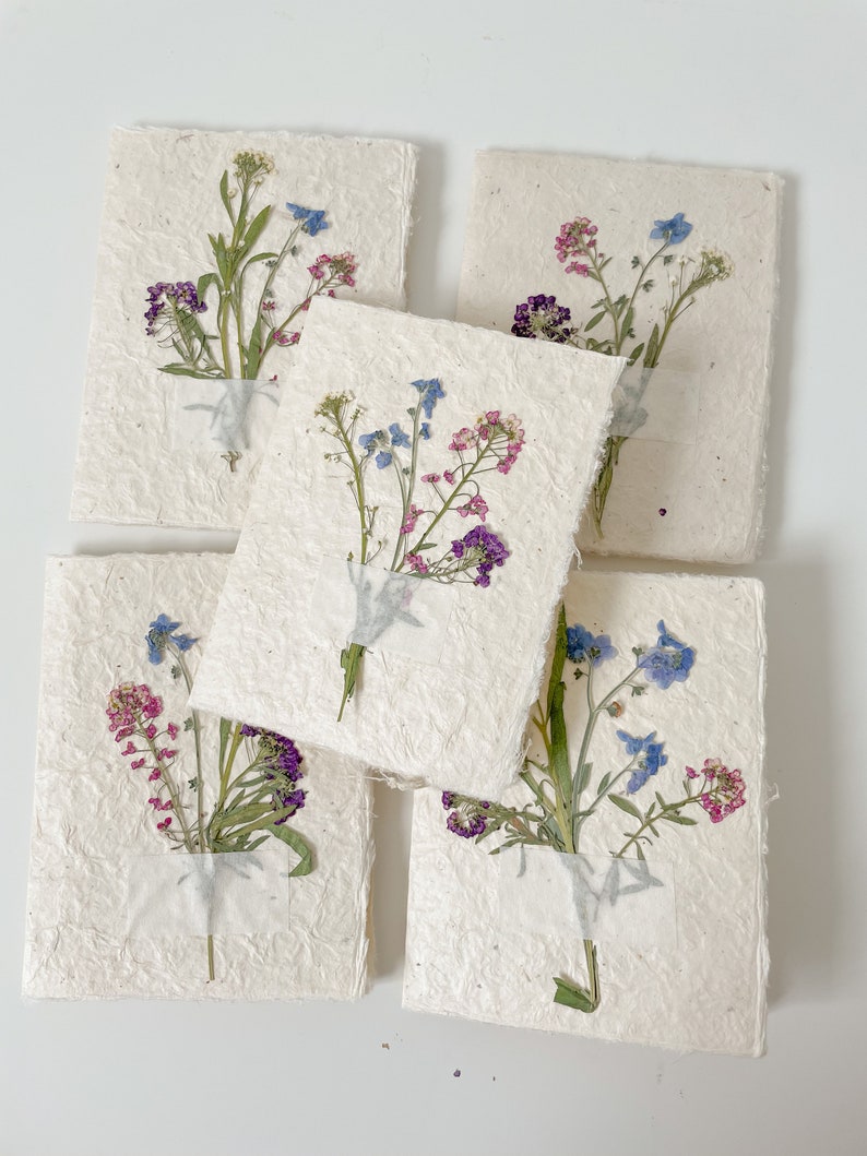5 Pressed Flower Cards // Set of 5 Real Pressed Flower Etsy