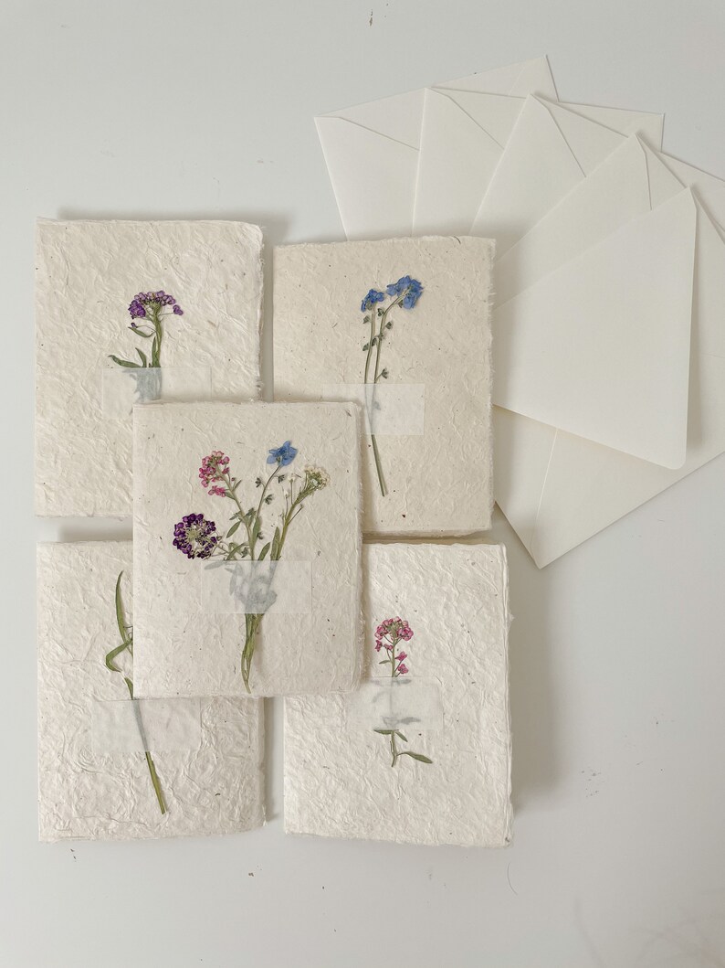5 Pressed Flower Cards // Set of 5 Real Pressed Flower Etsy