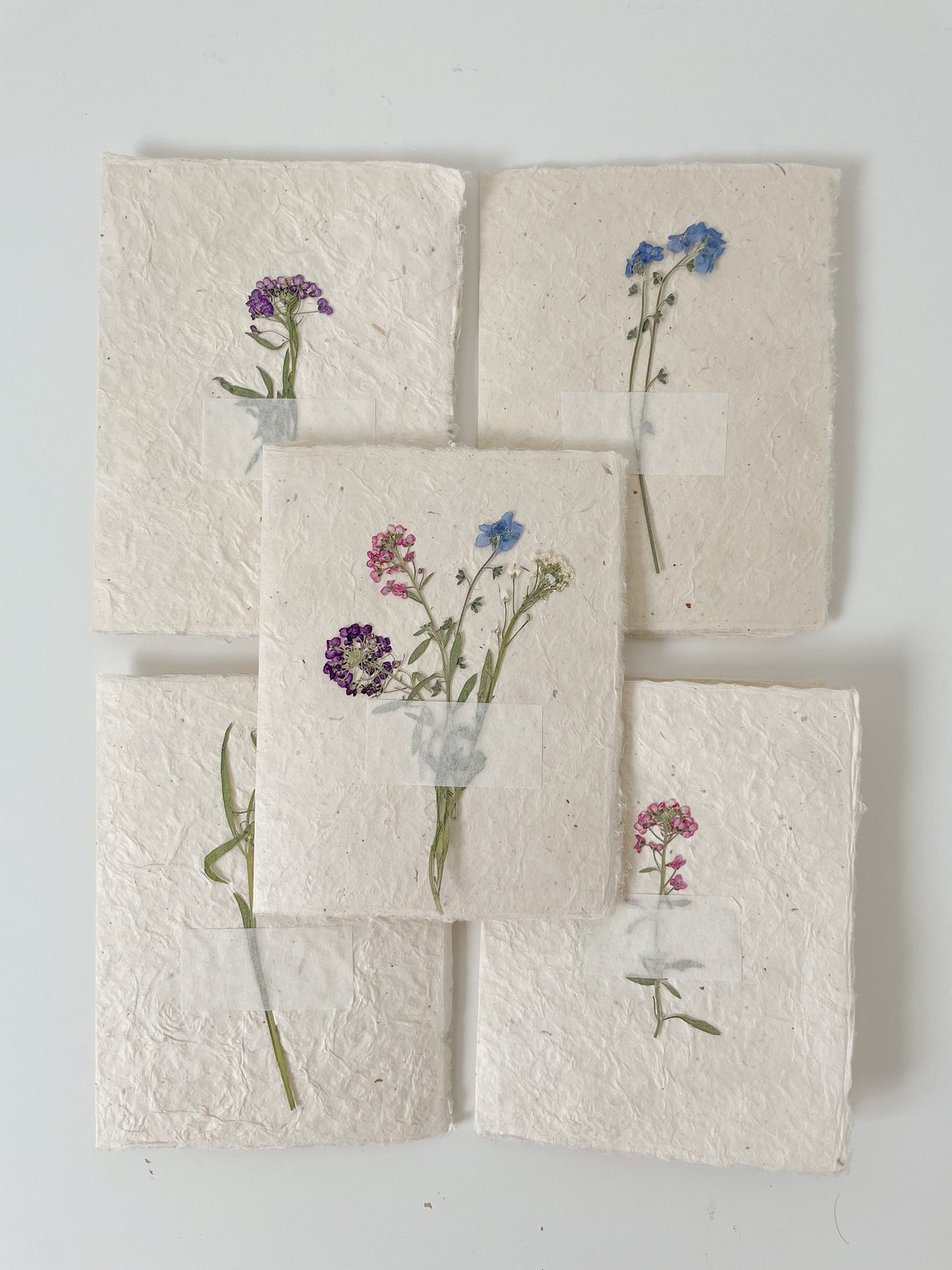 5 Pressed Flower Cards // Set of 5 Real Pressed Flower Etsy