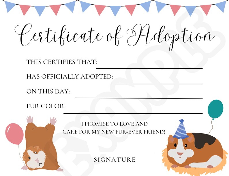 Hamster Adoption Certificate, Instant Download, Guinea Pig Adoption ...