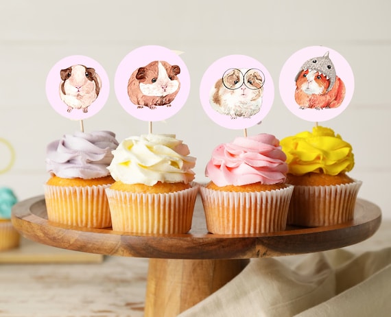Guinea pig hotsell cake topper